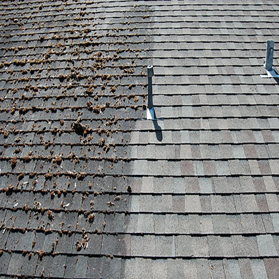 démoussage de toiture en tuiles avec NOMSOCIETE