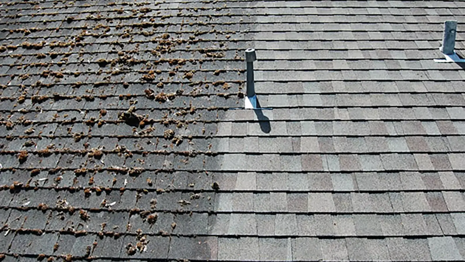 démoussage de toiture en tuiles avec ECO COUVERTURE